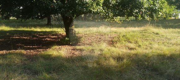 Grundstück in Arcos de Valdevez, Portugal 1843m², Nr. 58749 3