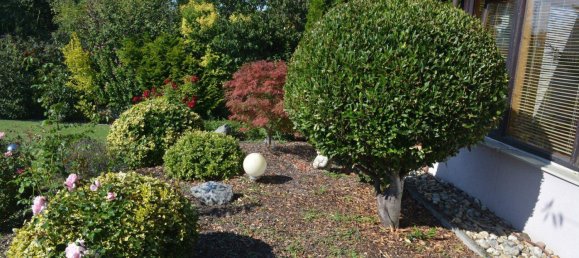 6غرفة منزل في Engelhartstetten, Austria رقم 234787 22