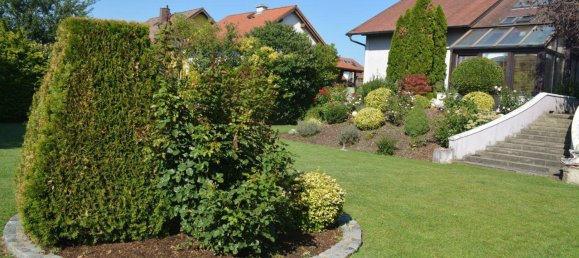 6غرفة منزل في Engelhartstetten, Austria رقم 234787 23