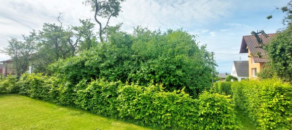 Земельный участок в Рейн-Зиг, Германия № 184567 5