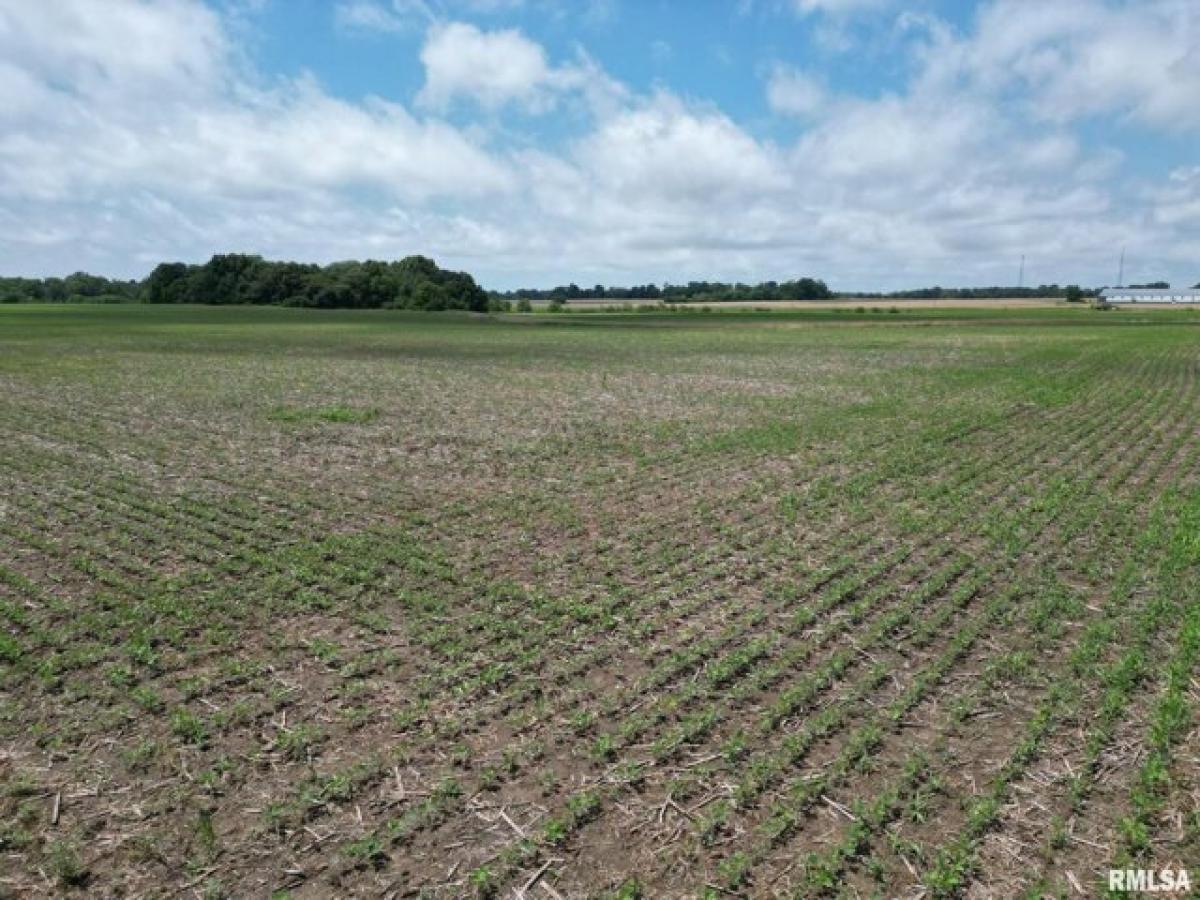  Land in Opdyke, USA No. 491960