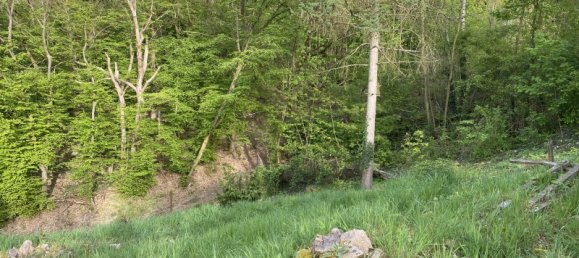 2-salle Maison à Saxony, Germany No. 127578 4