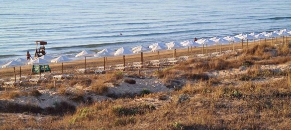 2 chambres Appartement à Guardamar del Segura, Spain No. 8255 18