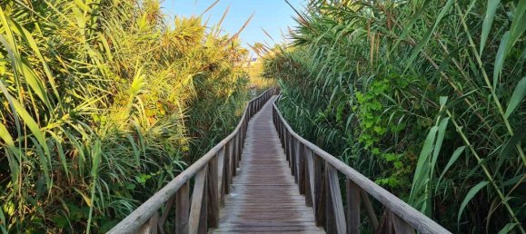 2 chambres Appartement à Guardamar del Segura, Spain No. 8255 26