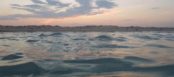 2 chambres Appartement à Guardamar del Segura, Spain No. 8255 20