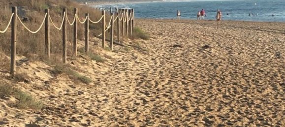 2 chambres Appartement à Guardamar del Segura, Spain No. 8255 21