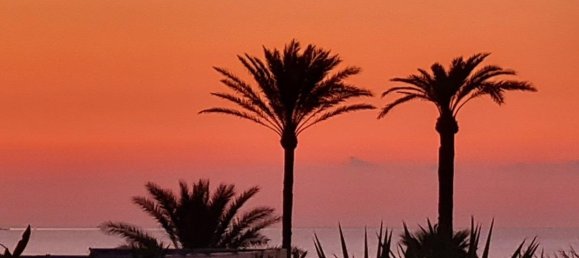 2 chambres Appartement à Guardamar del Segura, Spain No. 8255 27