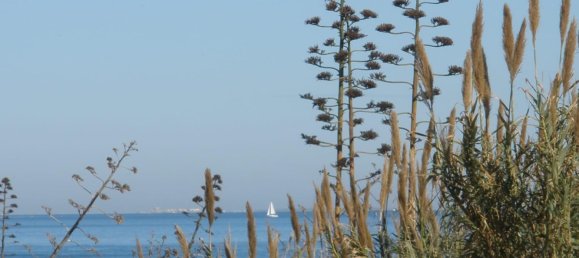 2 chambres Appartement à Guardamar del Segura, Spain No. 8255 22