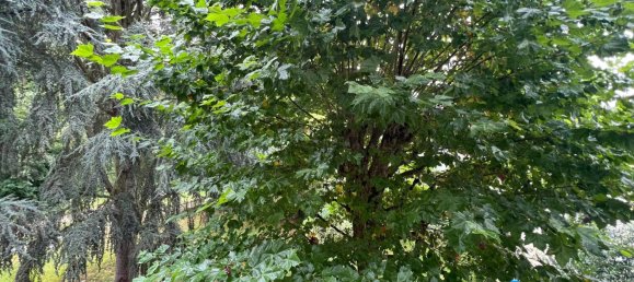 2 bedrooms Apartment in Yvelines, France No. 175366 10