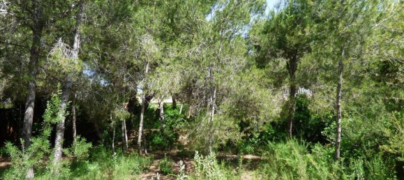 Land in Benissa, Spain No. 3138 22