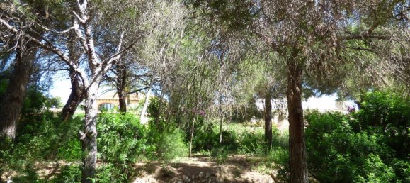 Land in Benissa, Spain No. 3138 14