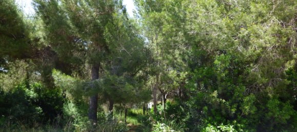 Land in Benissa, Spain No. 3138 9