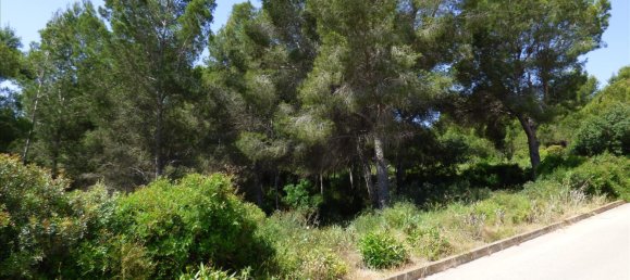 Land in Benissa, Spain No. 3138 5