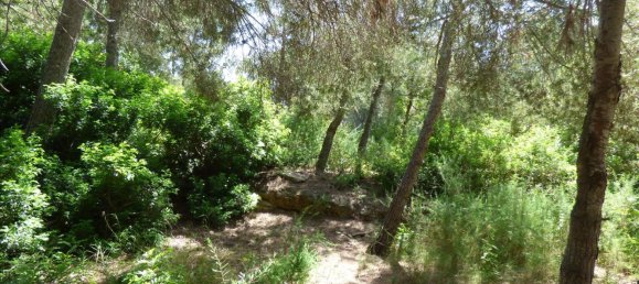 Land in Benissa, Spain No. 3138 23