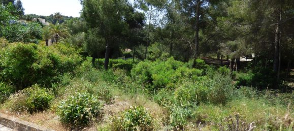 Land in Benissa, Spain No. 3138 28