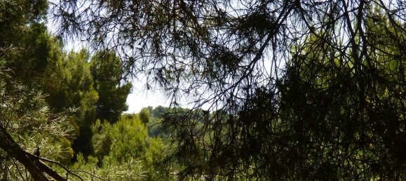 Land in Benissa, Spain No. 3138 21