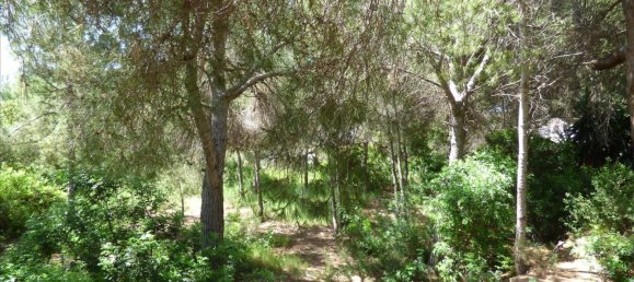 Land in Benissa, Spain No. 3138 13