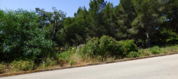 Land in Benissa, Spain No. 3138 4