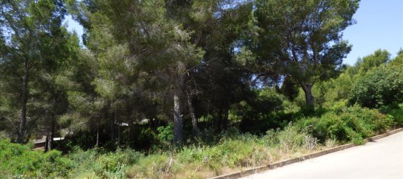 Land in Benissa, Spain No. 3138 6