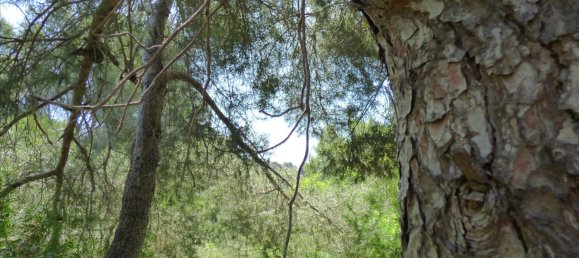 Land in Benissa, Spain No. 3138 19