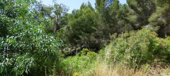 Land in Benissa, Spain No. 3138 29