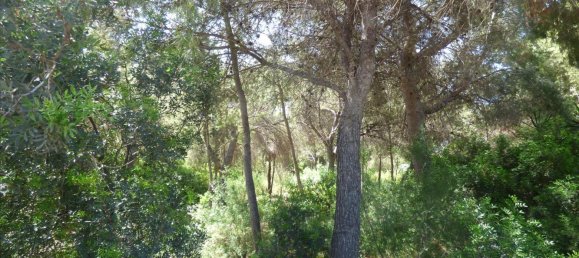 Land in Benissa, Spain No. 3138 12