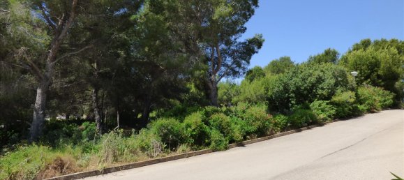 Land in Benissa, Spain No. 3138 7