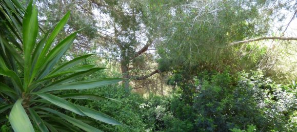 Land in Benissa, Spain No. 3138 11