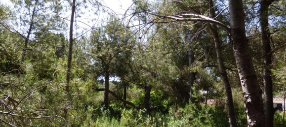 Land in Benissa, Spain No. 3138 16