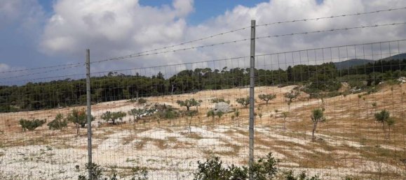  Hotel in Zakynthos, Greece No. 652 5