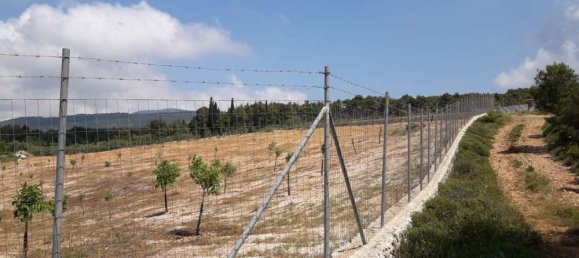  Hotel in Zakynthos, Greece No. 652 9