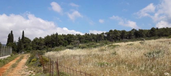  Hotel in Zakynthos, Greece No. 652 15