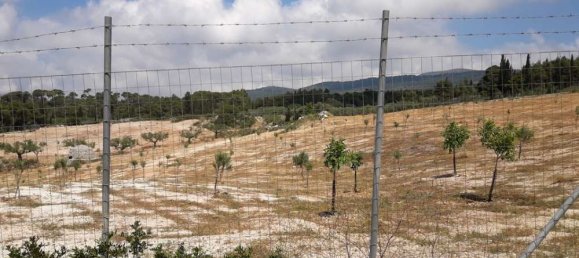  Hotel in Zakynthos, Greece No. 652 4