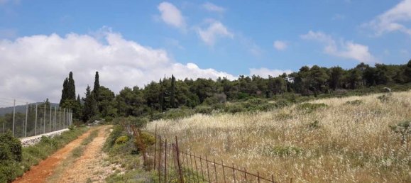  Hotel in Zakynthos, Greece No. 652 16