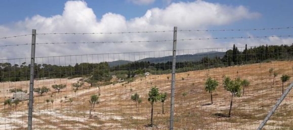  Hotel in Zakynthos, Greece No. 652 17