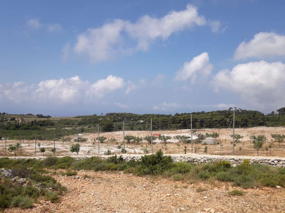  Hotel in Zakynthos, Greece No. 652