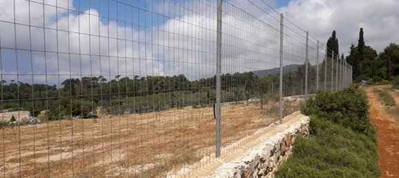  Hotel in Zakynthos, Greece No. 652 3