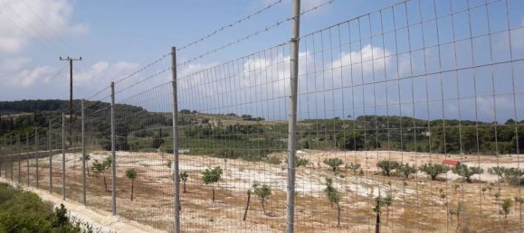  Hotel in Zakynthos, Greece No. 652 12