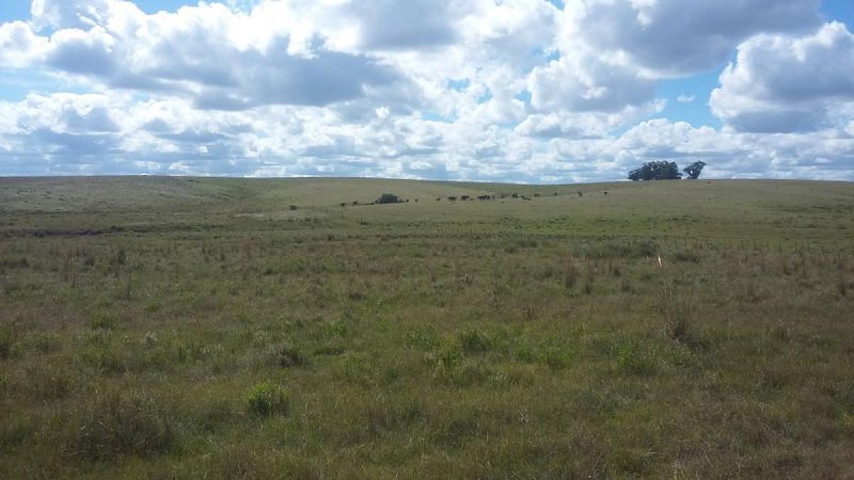 Bauernhof in Maldonado, Uruguay, Nr. 14601