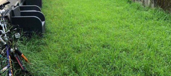 Studio in Seekirchen am Wallersee, Austria, Nr. 176422 5