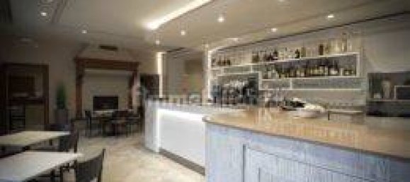 2 rooms Commercial property in Lucca, Italy No. 62728 3