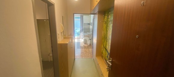 Studio in Stattegg, Austria No. 241595 3