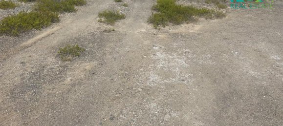 650.4m² Land in Ras Al Khaimah, UAE No. 25452 5