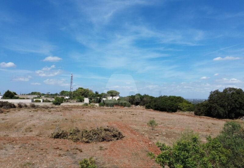 6590m² Land in Alessano, Italy No. 377323