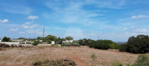 6590m² Land in Alessano, Italy No. 377323 4