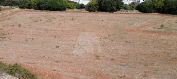 6590m² Land in Alessano, Italy No. 377323 6
