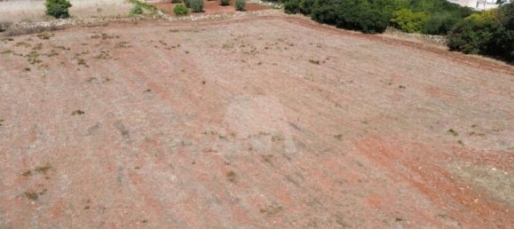 6590m² Land in Alessano, Italy No. 377323 2