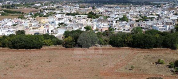6590m² Land in Alessano, Italy No. 377323 3