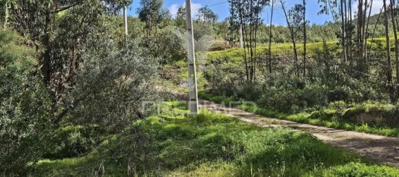 Grundstück in Silves, Portugal 14000m², Nr. 58326 9