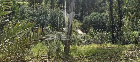 Grundstück in Silves, Portugal 14000m², Nr. 58326 2